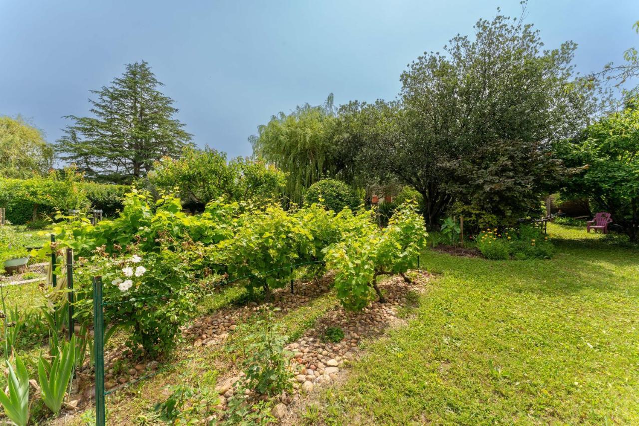 Villa La Mireio Malaucène Exteriör bild