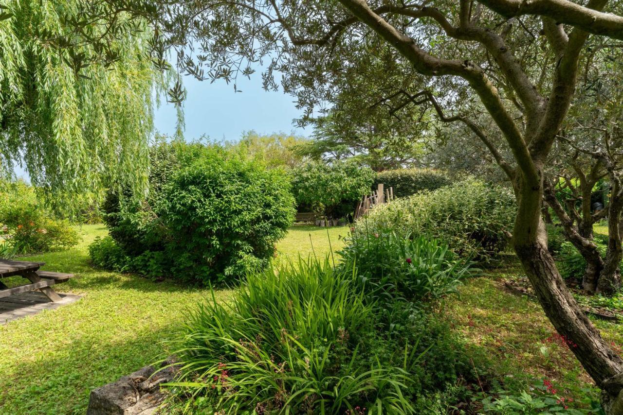 Villa La Mireio Malaucène Exteriör bild